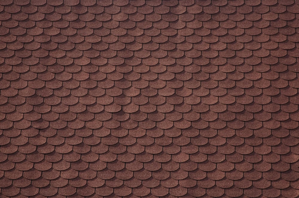 Curling or Buckling Shingles