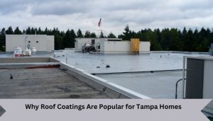 Why Roof Coatings Are Popular for Tampa Homes